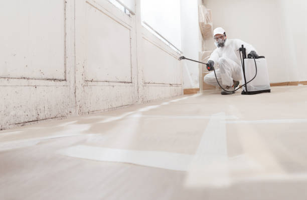 24/7 Emergency Attic Mold Removal experts in Lorton, VA